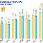 5 tháng năm 2026: Kim ngạch xuất, nhập khẩu hàng hóa tăng 25%