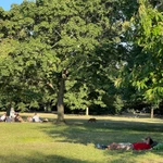 Theo các nhà vận động bảo vệ sức khỏe cộng đồng, các chính quyền địa phương tại Anh hiện vẫn đang sử dụng hàng nghìn lít thuốc diệt cỏ chứa glyphosate tại các không gian xanh công cộng. (Ảnh minh họa: Minh Hợp/TTXVN)