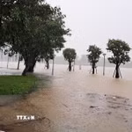 Mùa bão 2026 trên khu vực Biển Đông có khả năng xuất hiện như các năm, vào khoảng tháng Sáu. (Ảnh: Nguyên Lý/TTXVN)