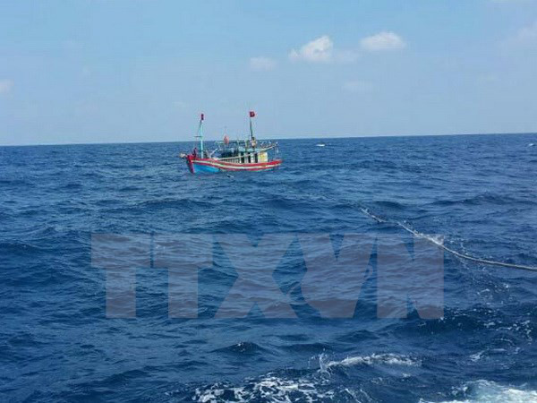 Các địa phương Quảng Ninh đến Cà Mau ứng phó với gió mạnh, sóng lớn ảnh 1