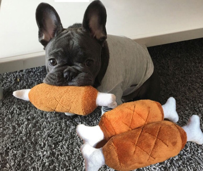 Philippines: Làm thú nhồi bông như thú cưng thật để làm kỷ vật ảnh 1