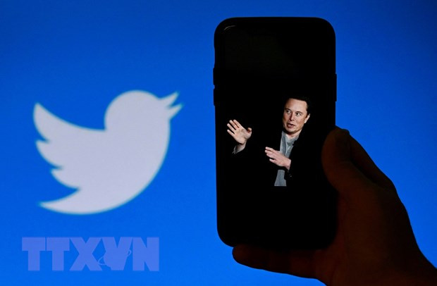 Chân dung tỷ phú Elon Musk trên màn hình điện thoại và biểu tượng Twitter (phía sau). (Ảnh: AFP/TTXVN) Thiếu lòng tin với Musk, Twitter bị các nhà quảng cáo 'quay lưng" ảnh 1