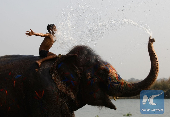 Sôi động lễ hội voi ở Công viên quốc gia Chitwan của Nepal ảnh 1