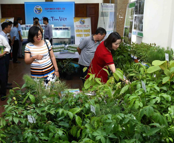 Bộ trưởng Nguyễn Xuân Cường: Hướng đến xuất khẩu giống nông nghiệp ảnh 1
