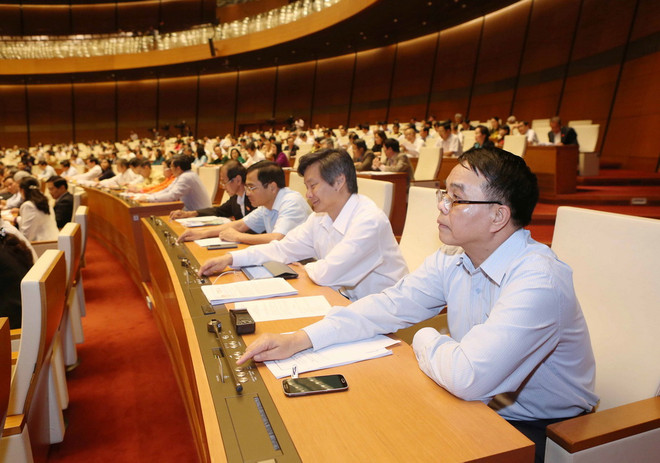 Quốc hội quyết định giữ nguyên độ tuổi trẻ em là dưới 16 tuổi ảnh 1