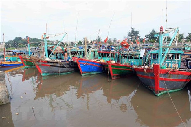 Ảnh hưởng của bão số 1, tỉnh Ninh Thuận có mưa rất to và dông ảnh 1