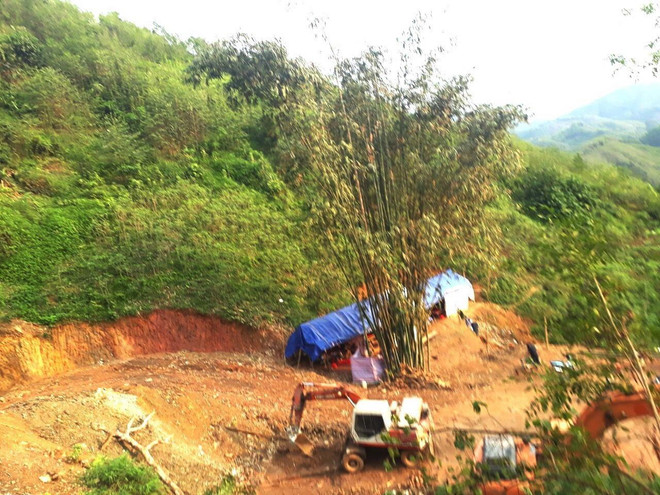 Hà Giang đình chỉ dự án chăn nuôi lợn rừng tại huyện Bắc Quang ảnh 1