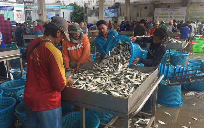 Thái Lan chuẩn bị vaccine để đón người lao động nước ngoài trở lại ảnh 1