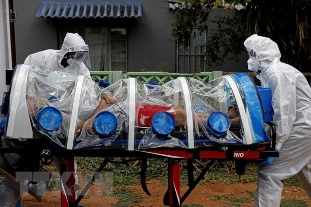 Nam Phi phát hiện biến thể virus SARS-CoV-2 với số lượng đột biến cao ảnh 1