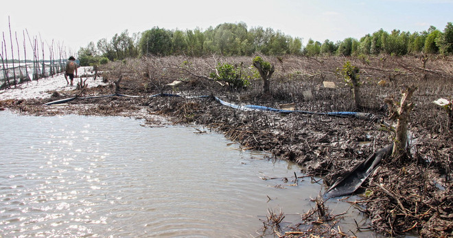 Cà Mau: Kỷ luật chủ tịch xã để xảy ra nhiều sai phạm về đất đai ảnh 1