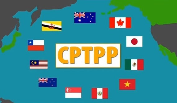 Đâu là những hoài nghi và lo lắng sai lầm về Hiệp định CPTPP? ảnh 1