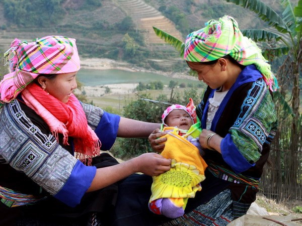 Tây Nguyên ổn định đời sống đồng bào di cư ngoài kế hoạch ảnh 1