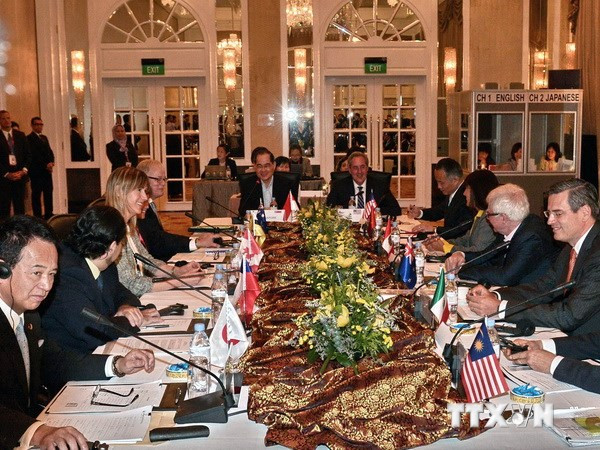 Các cuộc đàm phán về TPP đang bước vào giai đoạn tăng tốc ảnh 1