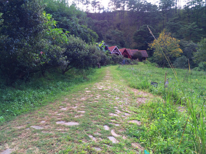 Lần tìm lại tung tích làng Cù Lần giữa thời “vật đổi sao dời” ảnh 6
