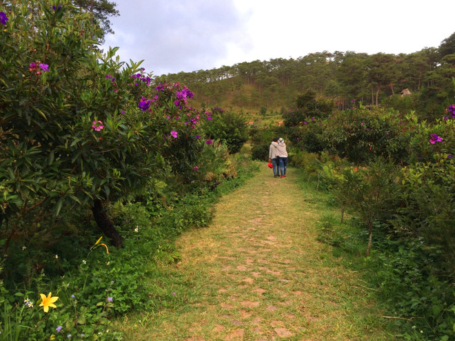 Lần tìm lại tung tích làng Cù Lần giữa thời “vật đổi sao dời” ảnh 3