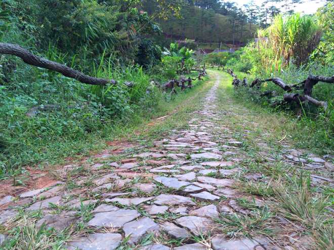 Lần tìm lại tung tích làng Cù Lần giữa thời “vật đổi sao dời” ảnh 4