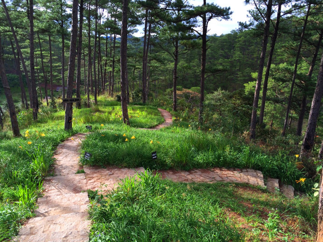 Lần tìm lại tung tích làng Cù Lần giữa thời “vật đổi sao dời” ảnh 1