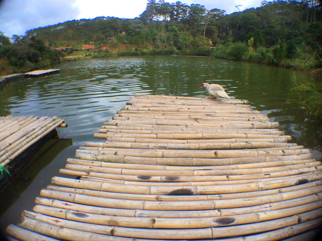 Lần tìm lại tung tích làng Cù Lần giữa thời “vật đổi sao dời” ảnh 7