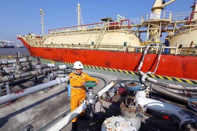 Làm sâu đậm quan hệ hợp tác giữa Việt Nam và Vương quốc Bỉ ảnh 1