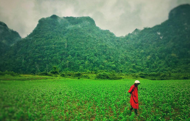 Quảng Bình - một trong những địa điểm quay phim. (Nguồn: Instagram) Tại sao Việt Nam là địa điểm hoàn hảo cho "Kong: Skull Island"? ảnh 2