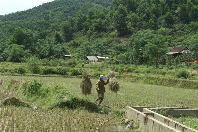 Phát triển Đảng ở đồng bào dân tộc Chứt: Ươm mầm 'hạt giống đỏ' ảnh 4