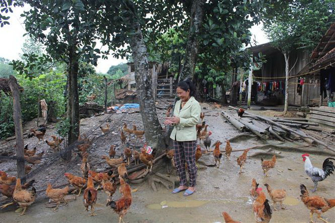Phát triển Đảng ở đồng bào dân tộc Chứt: Ươm mầm 'hạt giống đỏ' ảnh 1