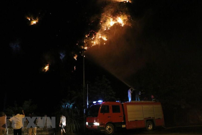 Ninh Bình: Vụ cháy rừng trên núi Vụng Quao được dập tắt hoàn toàn ảnh 1