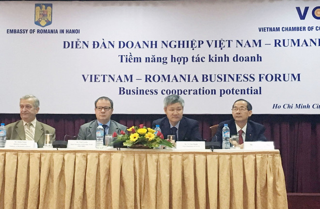 Romania kêu gọi doanh nghiệp Việt Nam đầu tư nhiều lĩnh vực ảnh 1