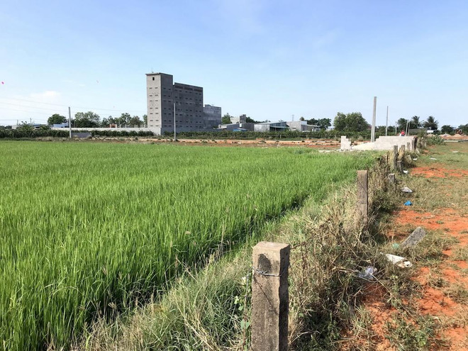 Khởi tố vụ án vi phạm các quy định về quản lý đất đai tại Phan Thiết ảnh 2