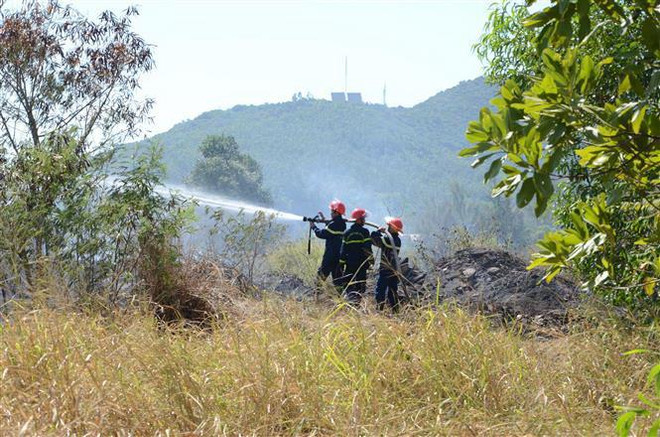 Đã khống chế được vụ cháy rừng thông hàng chục năm tuổi ở Nghệ An ảnh 1