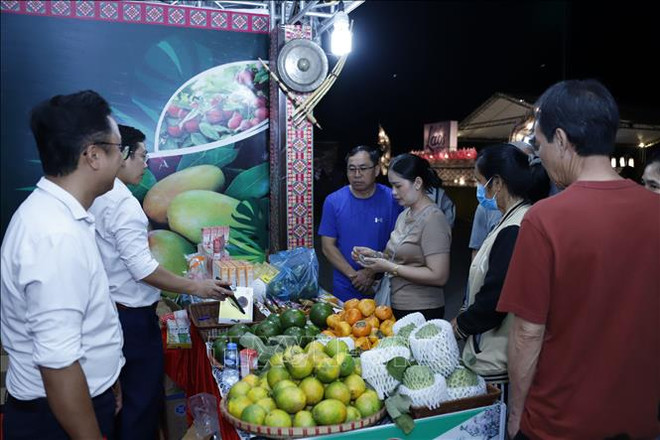 Khai mạc Tuần Văn hóa-Du lịch Tây Bắc và Thành phố Hồ Chí Minh tại Lào ảnh 3