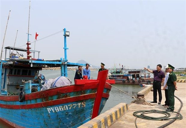 Tiền Giang: Tất cả tàu cá được lắp thiết bị giám sát hành trình ảnh 2