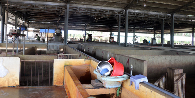 Lò giết mổ tập trung ở thành phố Kon Tum gây ô nhiễm môi trường ảnh 1