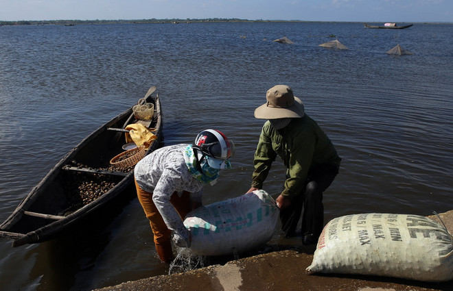 Thừa Thiên-Huế: Những đổi thay trên vùng đầm phá Tam Giang ảnh 2