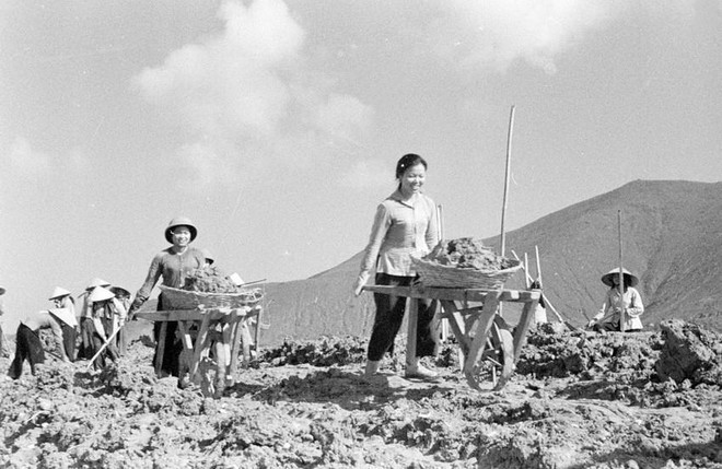 Cựu thanh niên xung phong làm kinh tế giỏi: Sức mạnh trong thời bình ảnh 1