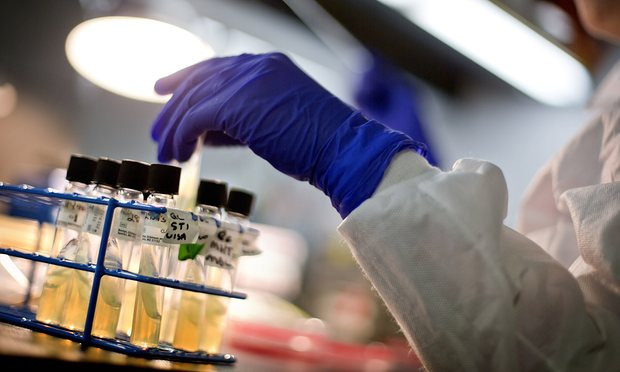 Siêu vi khuẩn kháng thuốc đe dọa tương lai kinh tế toàn cầu ảnh 1