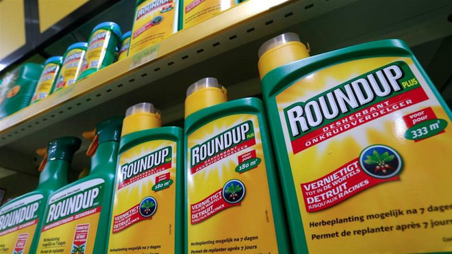 Sản phẩm thuốc diệt cỏ Roundup. (Nguồn: Al Jazeera) Monsanto phải bồi thường 289 triệu USD vì chất diệt cỏ gây ung thư ảnh 1