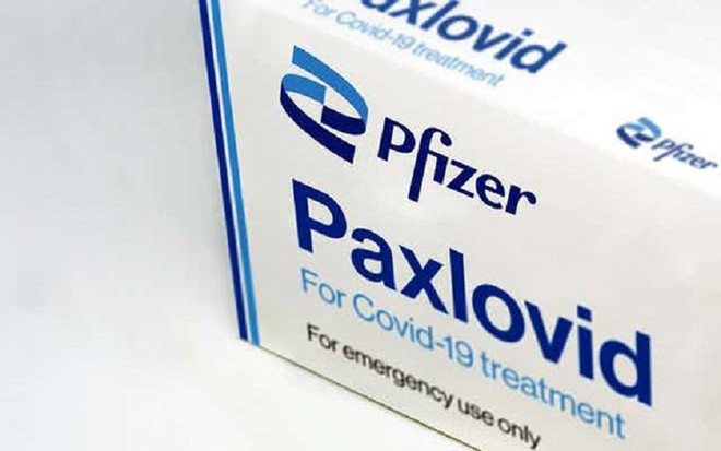 Canada phê duyệt thuốc kháng virus trị COVID-19 của hãng Pfizer ảnh 1