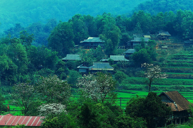 Rộn ràng các hoạt động trong lễ hội 'Mùa hoa ban' ở Sơn La ảnh 1