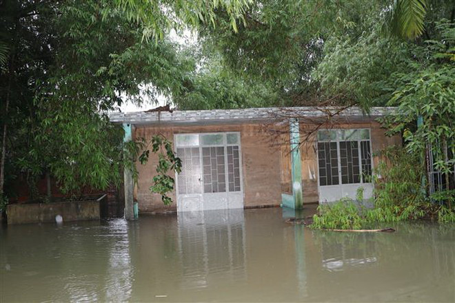Quảng Ngãi: Mưa lớn, một số tuyến đường và khu dân cư bị ngập cục bộ ảnh 1