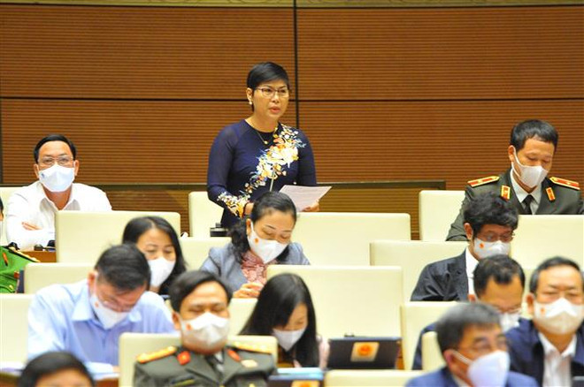 Đề xuất kiên trì chính sách khoan sức dân, nuôi dưỡng nguồn thu ảnh 2