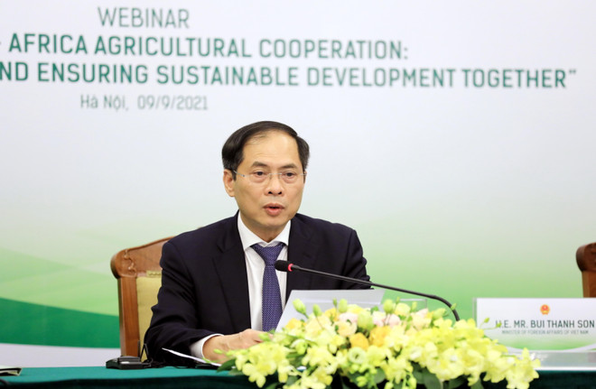 Tăng cường kết nối, hợp tác nông nghiệp Việt Nam-châu Phi ảnh 1