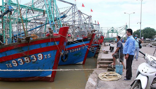 Chủ động ứng phó với bão Côn Sơn trong bối cảnh phòng, chống dịch ảnh 2