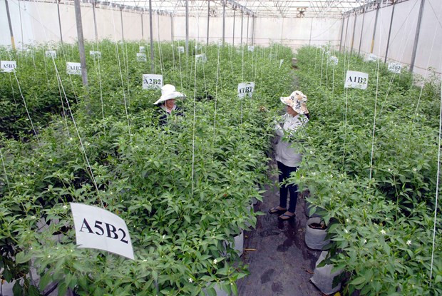 Giải ngân vốn đầu tư công ngành nông nghiệp đạt trên 50% ảnh 1