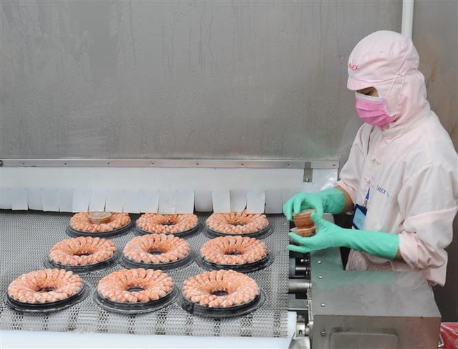 Cà Mau lấy lại đà tăng trưởng kinh tế trong tình hình mới ảnh 1