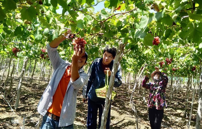 Phát triển sản phẩm du lịch nông thôn thông qua chuyển đổi số ảnh 2