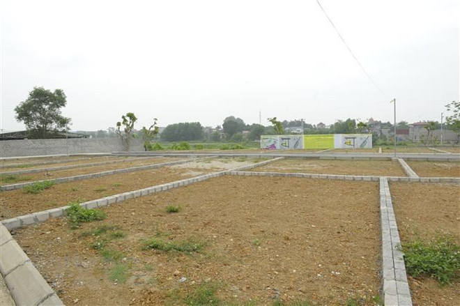 Thanh Hóa: Quy chế mới về đấu giá giúp ngăn ngừa 'cò đất' ảnh 1