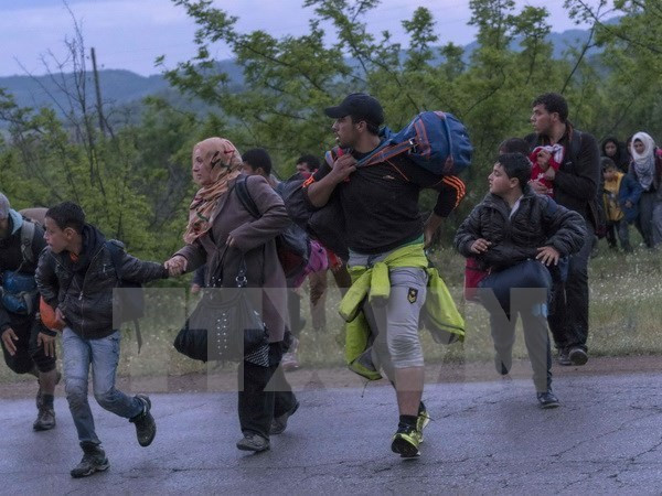 Người tị nạn Syria tìm cách vượt biên trái phép qua khu vực biên giới Hy Lạp-Macedonia. (Nguồn: AFP/TTXVN) Nhìn lại thế giới năm 2016: EU vẫn lúng túng giữa vòng luẩn quẩn ảnh 1