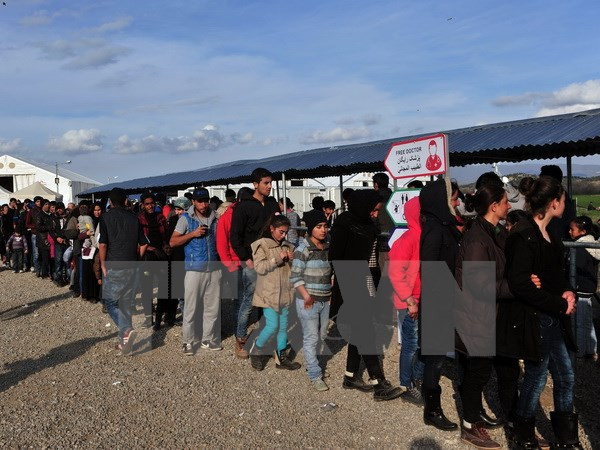 Tổng thống Pháp ca ngợi chính sách của Đức với người tị nạn Syria ảnh 1