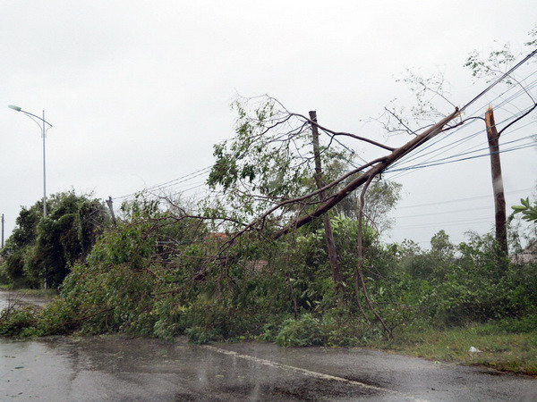 Thủ tướng yêu cầu nâng cao năng lực dự báo thiên tai ảnh 1